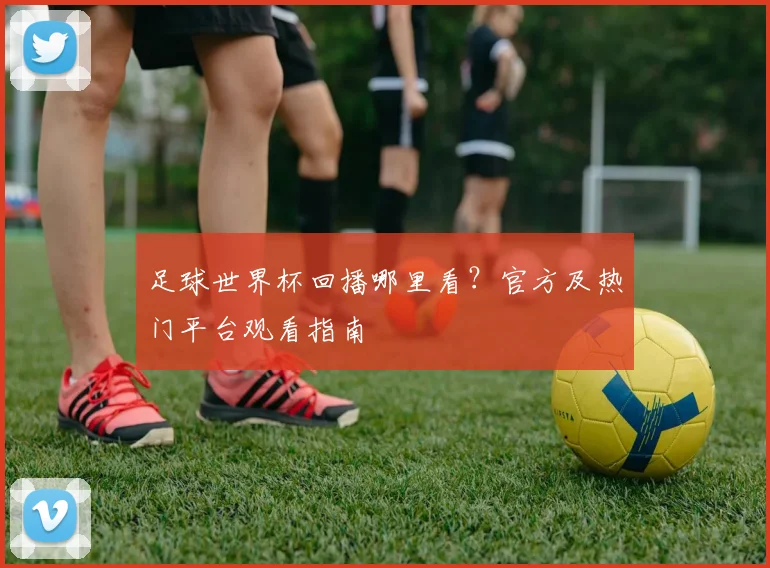 足球世界杯回播哪里看？官方及热门平台观看指南
