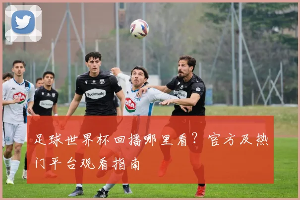 足球世界杯回播哪里看？官方及热门平台观看指南